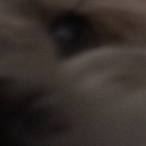 Meet your Posher, Gail